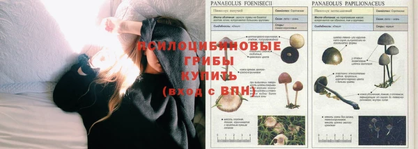 apvp Беломорск