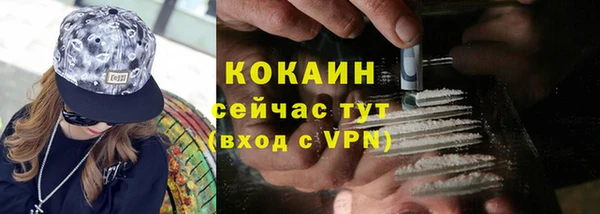ECSTASY Белокуриха