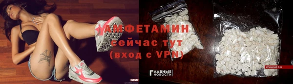 ECSTASY Белокуриха