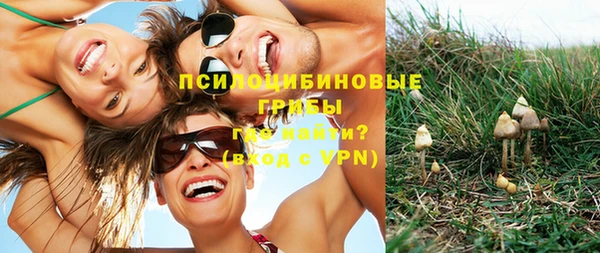 apvp Беломорск