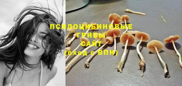 apvp Беломорск