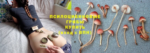 apvp Беломорск