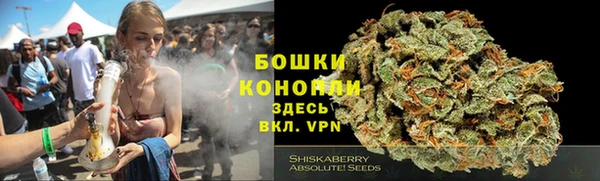 ECSTASY Белокуриха
