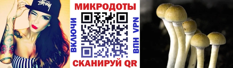 Псилоцибиновые грибы мухоморы  закладки  Балей 